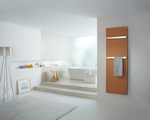 Rendering Decorative radiator Front view