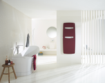 Rendering Decorative radiator Front view