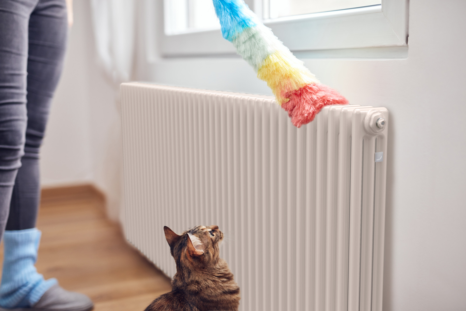 Key Visual Zehnder Charleston Decorative radiator Angled view