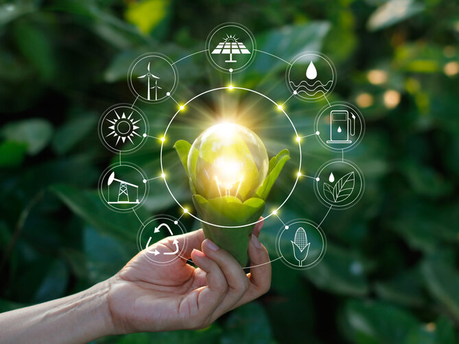 Hand holding light bulb against nature on green leaf with icons energy sources for renewable, sustainable development. Ecology concept. Elements of this image furnished by NASA.