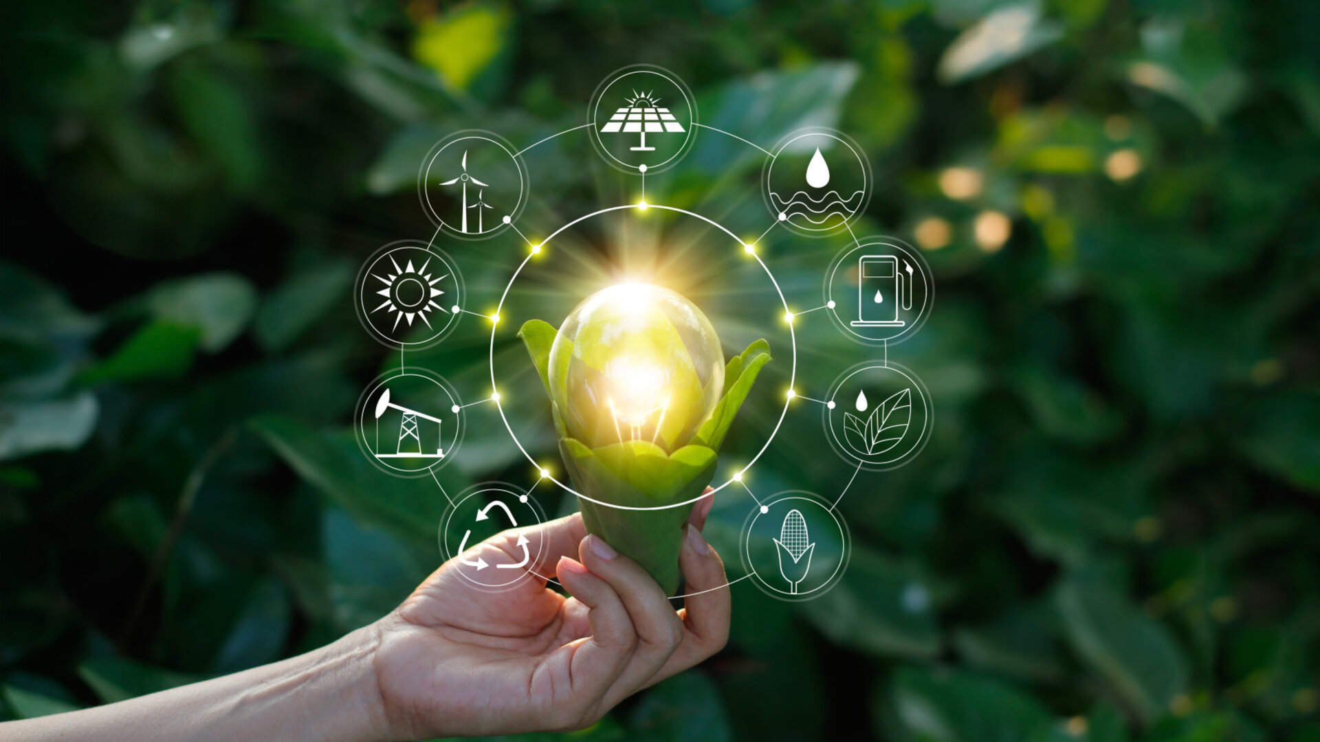 [Translate to Italiano:] vectorgrafik zehnder energiekreislauf