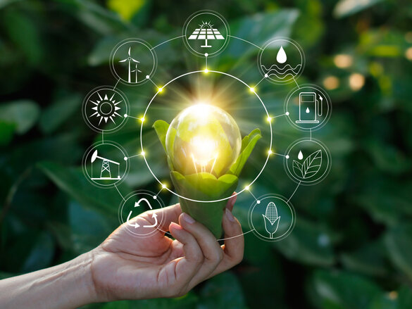 Hand holding light bulb against nature on green leaf with icons energy sources for renewable, sustainable development. Ecology concept. Elements of this image furnished by NASA.
