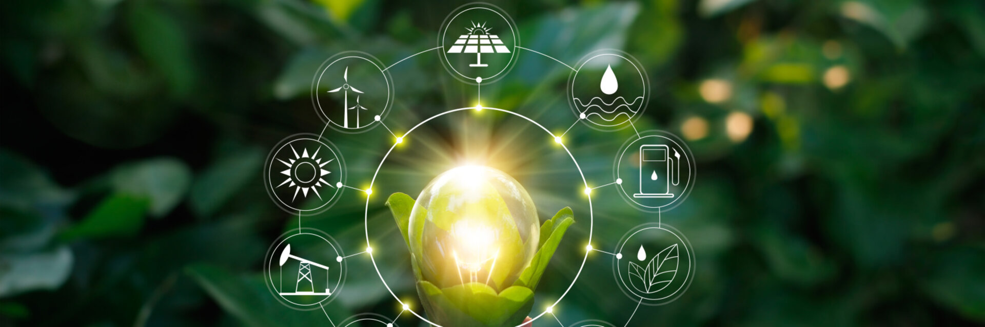 Hand holding light bulb against nature on green leaf with icons energy sources for renewable, sustainable development. Ecology concept. Elements of this image furnished by NASA.